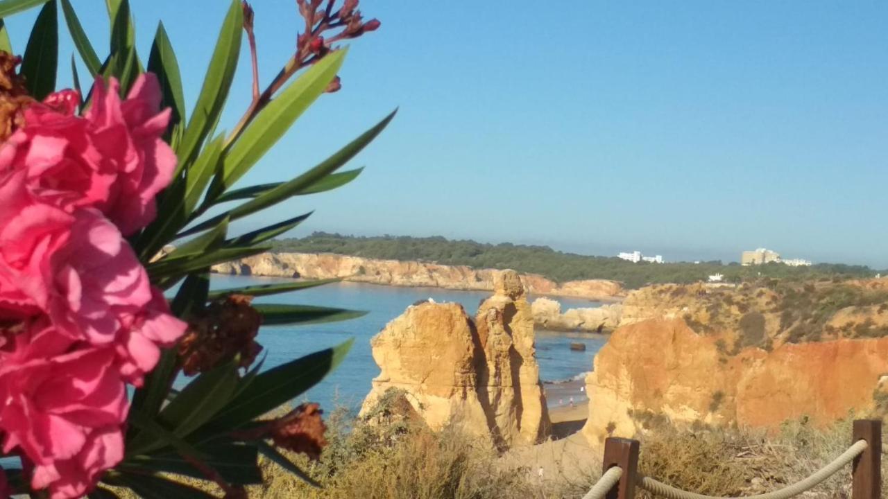 Albur Village B - Dandelion Alvor Buitenkant foto
